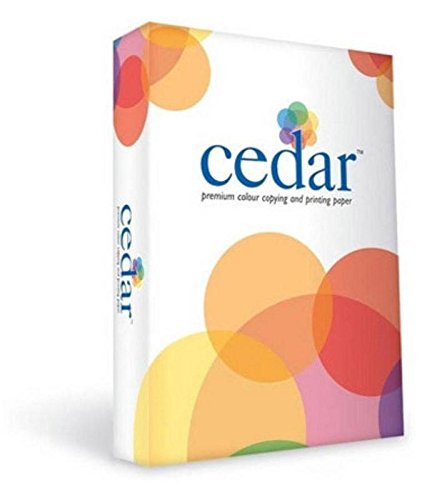 JK CEDAR 100 GSM A4 SIZE